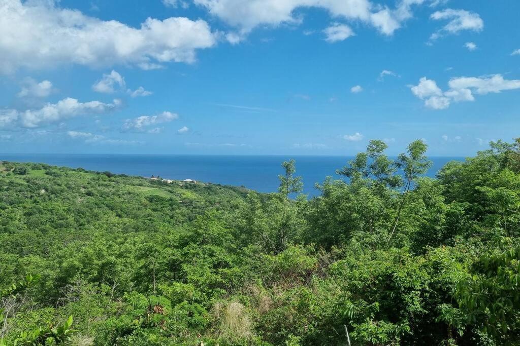 Lauramar Noix De Cajou - Vue Mer Et Montagne Villa Le Carbet Exterior photo